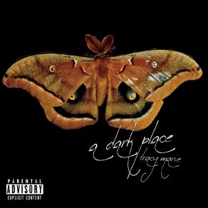 Download track A Dark Place Tracy Marie