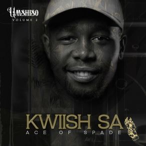 Download track Wuye Kwiish SAMalumNator