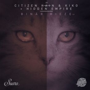 Download track Weekend Warrior (Original Mix) Citizen Kane, Hidden Empire