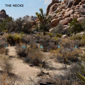 Download track Lovelock The Necks