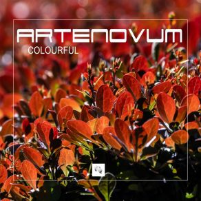 Download track Colourful (Voices Cut Mix) Artenovum