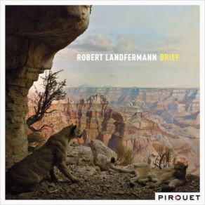 Download track Uluru Robert Landfermann