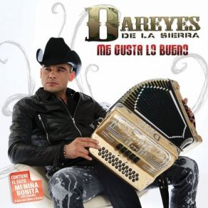 Download track Las 2 Plebonas Dareyes De La SierraEl Tigrillo Palma