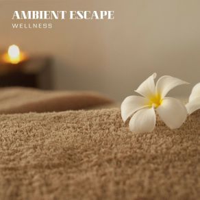 Download track Ambient Ascent Wellness