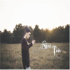 Download track Tin Lam Yeu Voi Dinh Phong