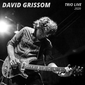 Download track Sqwawk (Live) David Grissom