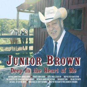 Download track Another Honkeytonk Burned Down Junior Brown