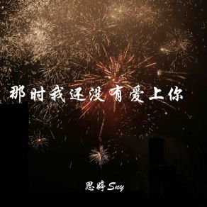 Download track 那时我还没有爱上你 思婷Sny