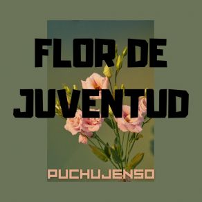 Download track Los Sonidos Puchujenso