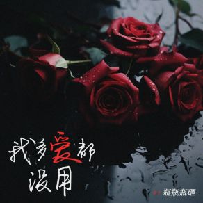 Download track 我多爱都没用 瓶瓶瓶砸