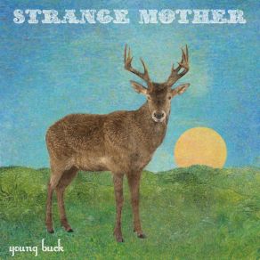 Download track So Much Little Sleep Strange Mother