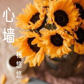 Download track 心墙 杨悠悠