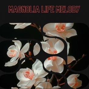 Download track Magnolia Life Melody Surrounding Life