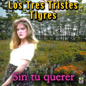 Download track Corazon De Madera Los Tres Tristes Tigres