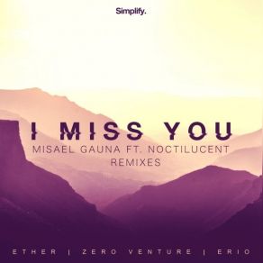 Download track I Miss You (Ether Remix) Misael GaunaNoctilucent