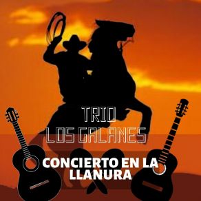 Download track Bonita Trio Los Galanes