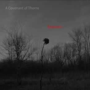 Download track The Last Time We Spoke A Covenant Of Thorns