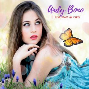 Download track Stardust (Steel Guitar) Andy Bono