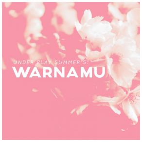 Download track Warnamu Under Play Summer's