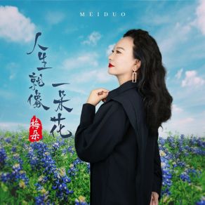 Download track 人生就像一朵花 (伴奏) 梅朵