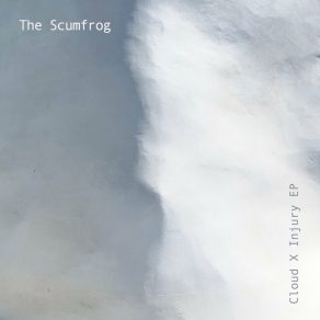 Download track Head In The Clouds (Edit) The Scumfrog