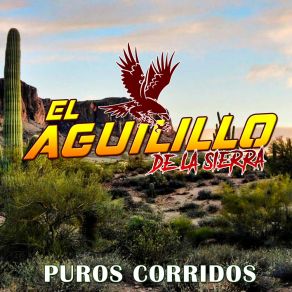 Download track Jefe De Nuevo Laredo El Aguilillo De La Sierra