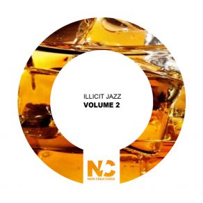 Download track Volume 2 (Nu Ground Foundation Classic Mix II) Illicit Jazz