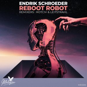 Download track Reboot Robot (Leitstrahl Remix) Endrik SchroederLeitstrahl