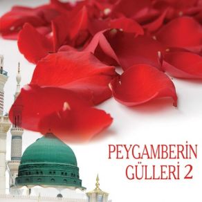 Download track Ya Şehri Ramazan Fatsa Çocuk Korosu