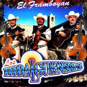 Download track Tierra Queretana Los Hidalguenses