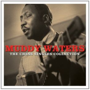 Download track Tough Times Muddy Waters