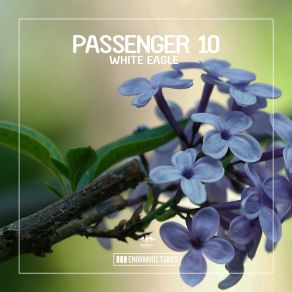 Download track White Eagle (Original Club Mix) Passenger 10