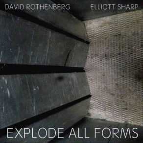 Download track Gneisenaus Elliott Sharp, David Rothenberg