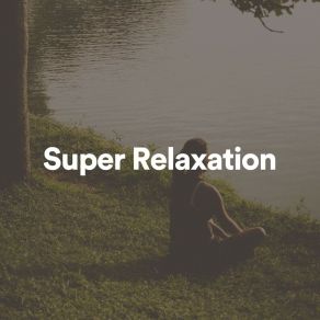 Download track Relaxation Music Binaural Beats Spa