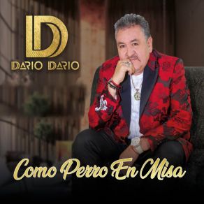 Download track Me Enamore Y Perdí Dario Dario