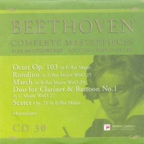 Download track March For 2 Clarinets, 2 Bassoons & 2 Horns In B - Flat Major WoO 29 Ludwig Van Beethoven