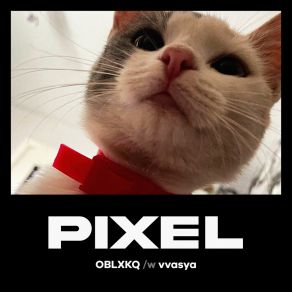 Download track Pixel Vvasya