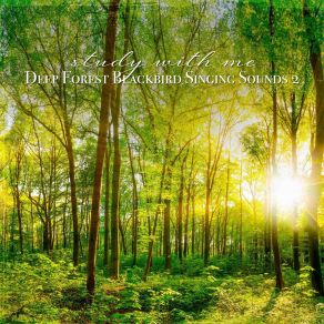 Download track Deep Forest Blackbird Singing Sounds, Pt. 2 Sebastian Riegl