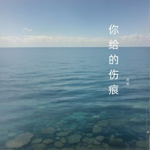 Download track 化成了眷恋 尚芃