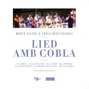 Download track Cançó De Rem I De Vela Cobla Mediterrània