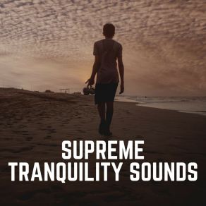 Download track Hammock Trip Background Music Specialists