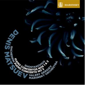 Download track Shchedrin Piano Concerto No 5 Mvt 3 Marinsky