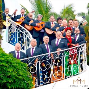 Download track Popurri: Dejenme Si / Serenata Sin Luna / Y Volvere / Murio La Flor / Despacito / Esta Noche (Angeles Negros) Rondalla De Oro