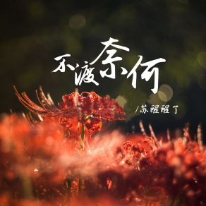 Download track 不渡奈何 (空拍) 苏醒醒了