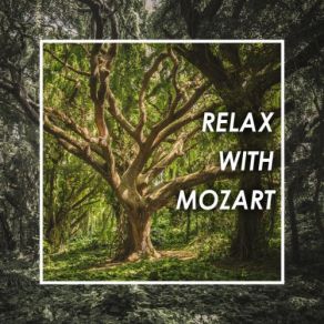 Download track No. 3 In C Major, Trio -Die Schlittenfahrt- Wolfgang Amadeus Mozart