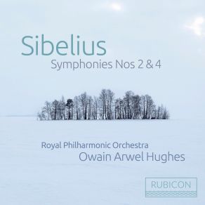 Download track Symphony No. 2 In D Major, Op. 43- IV. Finale. Allegro Moderato Owain Arwel Hughes, The Royal Philharmonic Orchestra