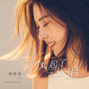 Download track 风起了 云去追 (伴奏) A You You