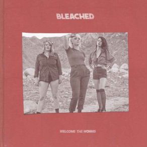 Download track Desolate Town Bleached