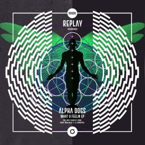 Download track What U Feelin (PJ Principle Remix) Alpha Dogs