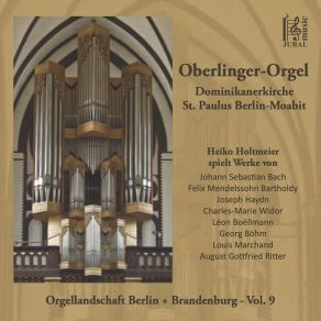 Download track Organ Sonata No. 5 In D Minor, Op. 65: I. Chorale And Variations Heiko Holtmeier